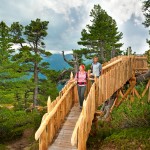 Zirbenwanderweg im Gasteinertal